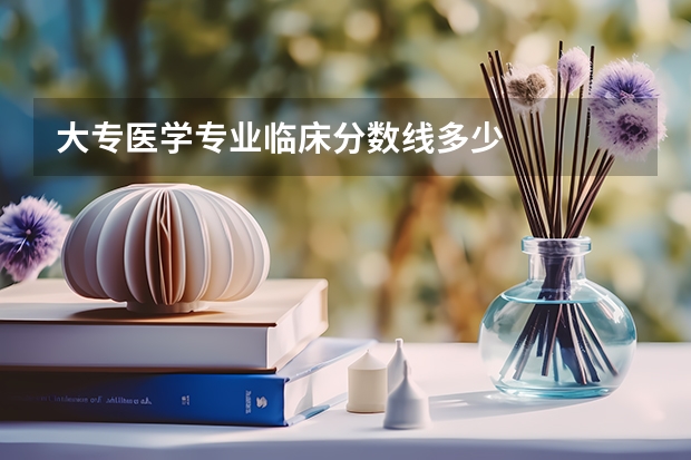 大专医学专业临床分数线多少