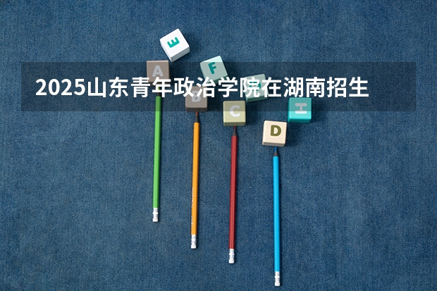 2025山东青年政治学院在湖南招生计划预测 大概招多少人