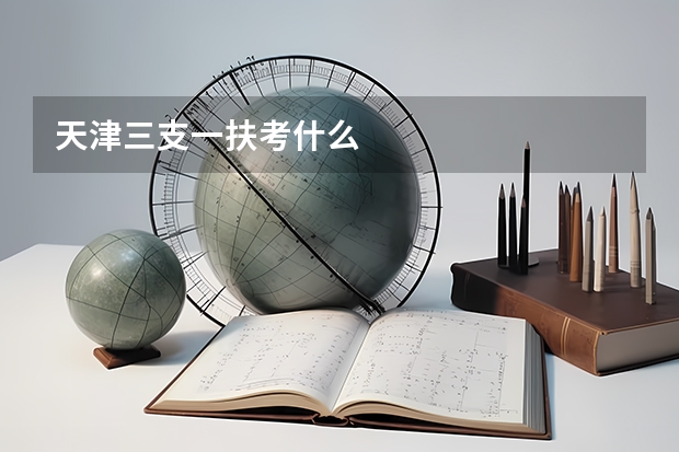 天津三支一扶考什么