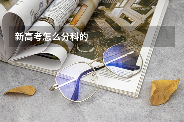 新高考怎么分科的