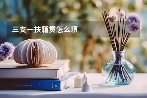 三支一扶籍贯怎么填