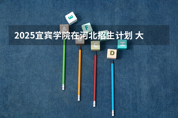 2025宜宾学院在河北招生计划 大概招多少人