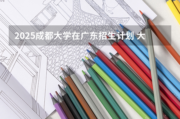 2025成都大学在广东招生计划 大概招多少人