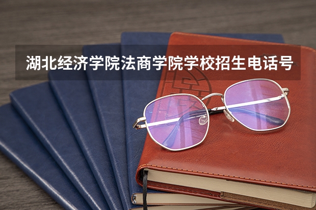 湖北经济学院法商学院学校招生电话号码是多少