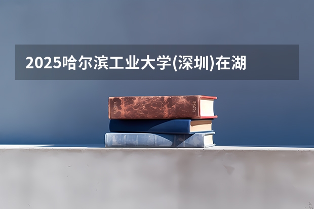 2025哈尔滨工业大学(深圳)在湖南招生计划 大概招多少人