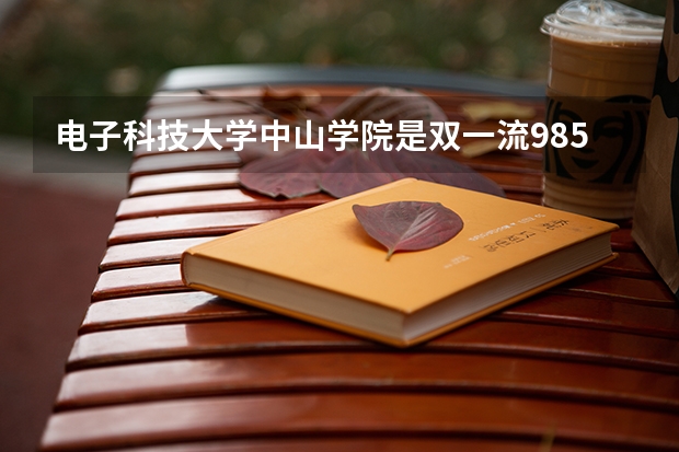 电子科技大学中山学院是双一流/985/211大学吗?