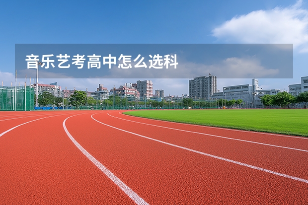 音乐艺考高中怎么选科