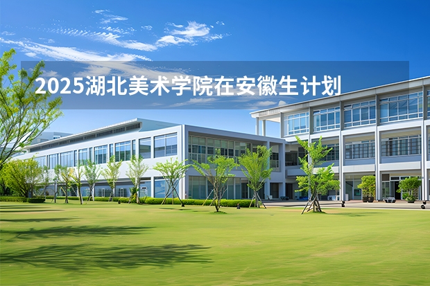 2025湖北美术学院在安徽生计划 大概招多少人