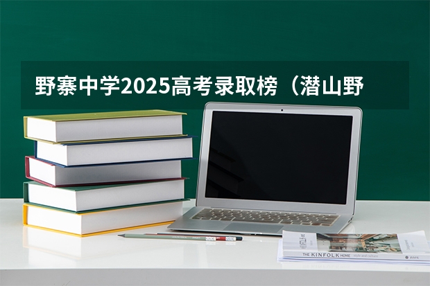野寨中学2025高考录取榜（潜山野寨中学2025高考录取榜）