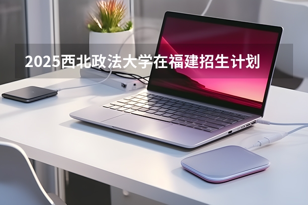 2025西北政法大学在福建招生计划 大概招多少人