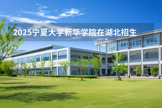 2025宁夏大学新华学院在湖北招生计划 大概招多少人