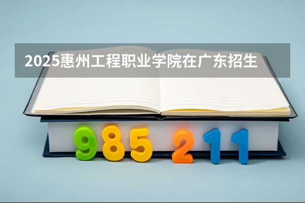 2025惠州工程职业学院在广东招生计划与2024年对比