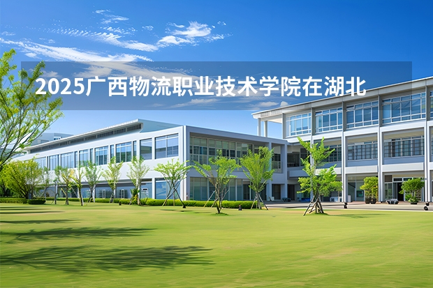 2025广西物流职业技术学院在湖北招生计划 大概招多少人
