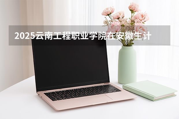 2025云南工程职业学院在安徽生计划 大概招多少人
