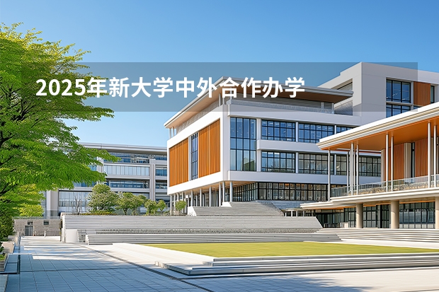 2025年新大学中外合作办学