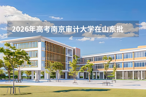 2026年高考南京审计大学在山东批次选科要求预测