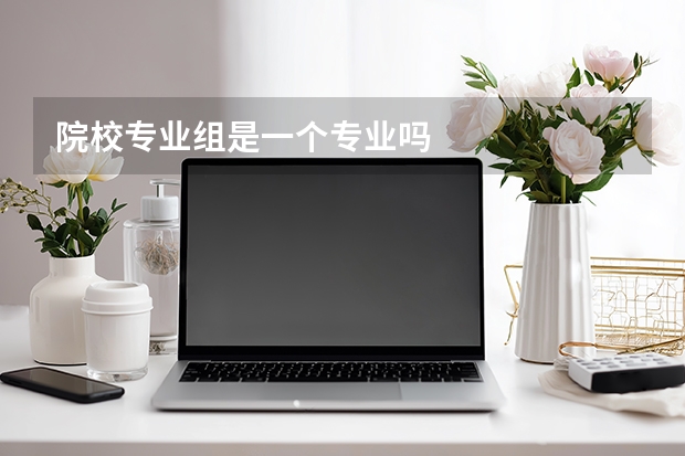 院校专业组是一个专业吗