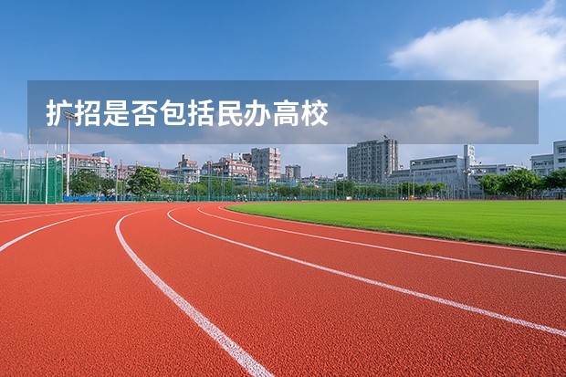 扩招是否包括民办高校