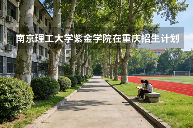 南京理工大学紫金学院在重庆招生计划多少人（2026参考）