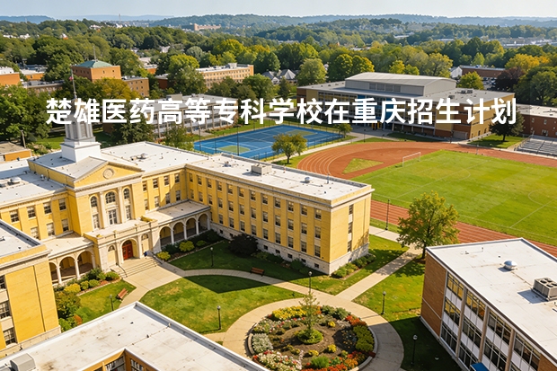 楚雄医药高等专科学校在重庆招生计划多少人（2026参考）