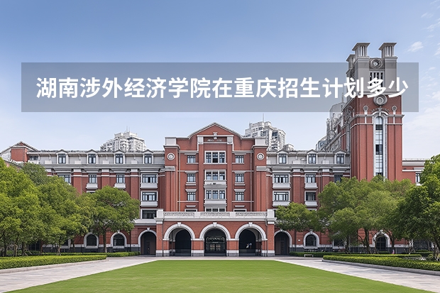湖南涉外经济学院在重庆招生计划多少人（2026参考）