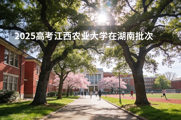 2025高考江西农业大学在湖南批次线差（2026参考）