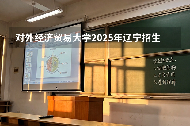 对外经济贸易大学2025年辽宁招生计划总览（2026高考志愿参考）