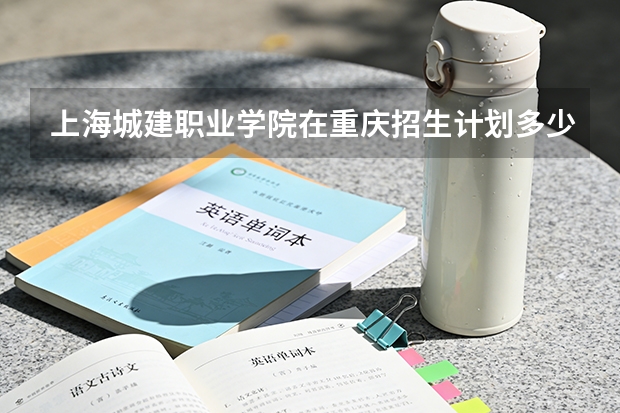 上海城建职业学院在重庆招生计划多少人（2026参考）