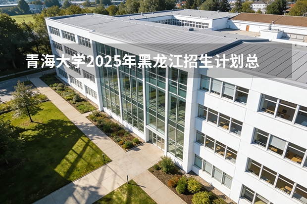 青海大学2025年黑龙江招生计划总览（2026高考志愿参考）