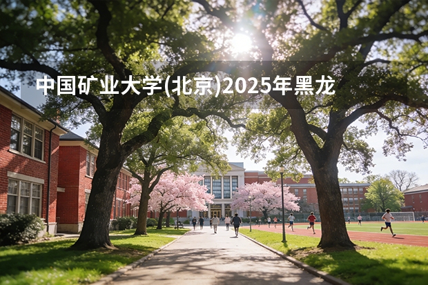 中国矿业大学(北京)2025年黑龙江招生计划总览（2026高考志愿参考）