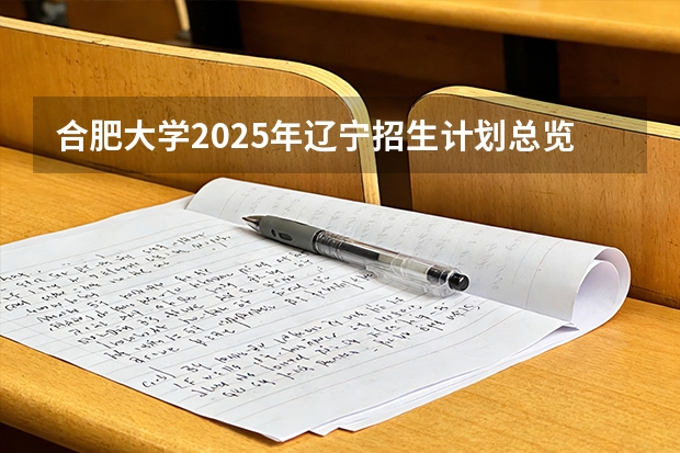 合肥大学2025年辽宁招生计划总览（2026高考志愿参考）
