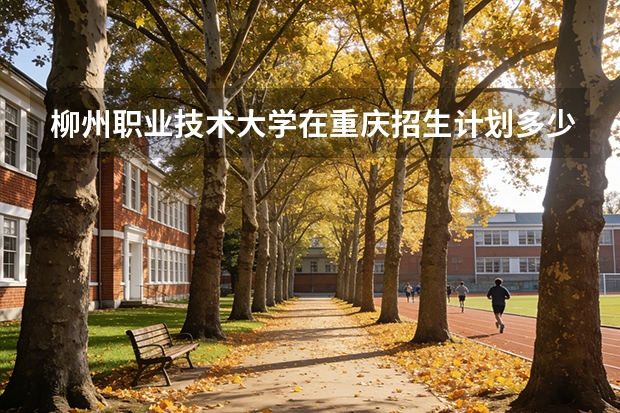 柳州职业技术大学在重庆招生计划多少人（2026参考）