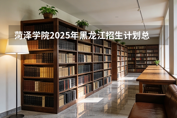 菏泽学院2025年黑龙江招生计划总览（2026高考志愿参考）