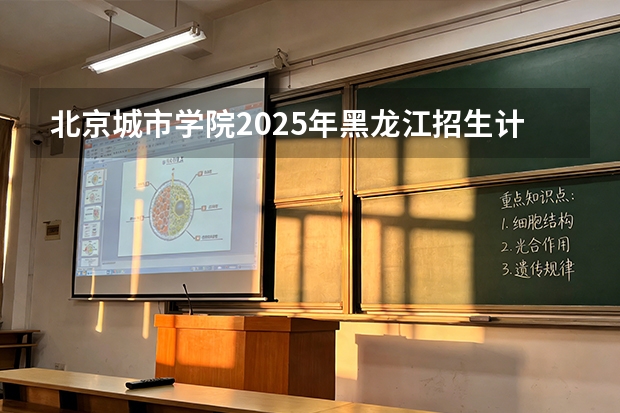 北京城市学院2025年黑龙江招生计划总览（2026高考志愿参考）