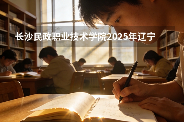 长沙民政职业技术学院2025年辽宁招生计划总览（2026高考志愿参考）