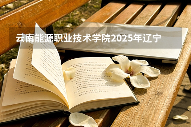 云南能源职业技术学院2025年辽宁招生计划总览（2026高考志愿参考）