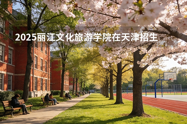 2025丽江文化旅游学院在天津招生人数汇总（2026参考）