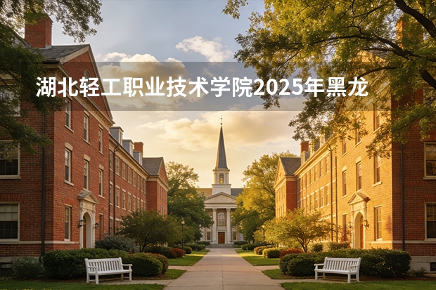 湖北轻工职业技术学院2025年黑龙江招生计划总览（2026高考志愿参考）