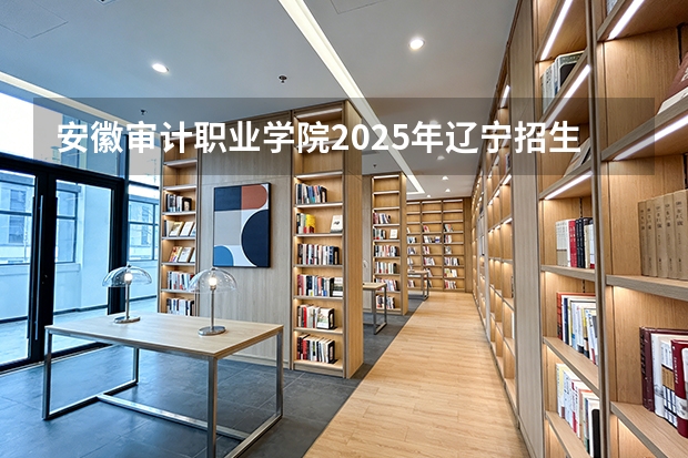 安徽审计职业学院2025年辽宁招生计划总览（2026高考志愿参考）