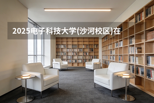 2025电子科技大学(沙河校区)在天津招生人数汇总（2026参考）