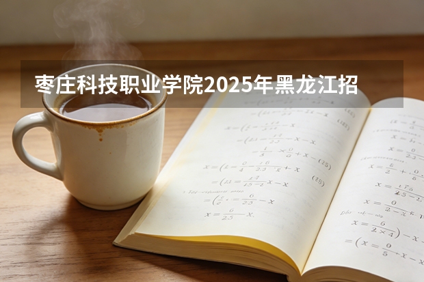 枣庄科技职业学院2025年黑龙江招生计划总览（2026高考志愿参考）