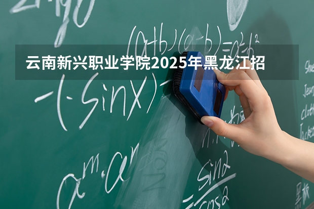 云南新兴职业学院2025年黑龙江招生计划总览（2026高考志愿参考）