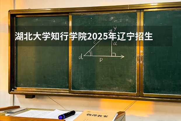湖北大学知行学院2025年辽宁招生计划总览（2026高考志愿参考）