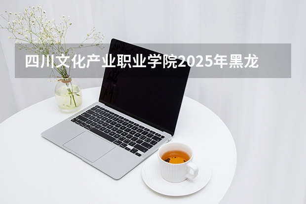 四川文化产业职业学院2025年黑龙江招生计划总览（2026高考志愿参考）