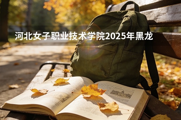 河北女子职业技术学院2025年黑龙江招生计划总览（2026高考志愿参考）