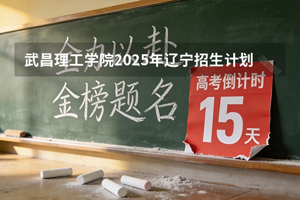 武昌理工学院2025年辽宁招生计划总览（2026高考志愿参考）