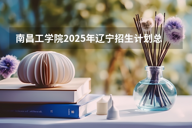 南昌工学院2025年辽宁招生计划总览（2026高考志愿参考）