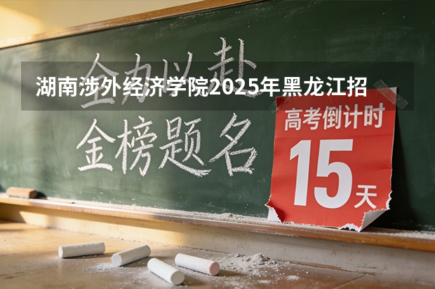 湖南涉外经济学院2025年黑龙江招生计划总览（2026高考志愿参考）