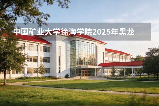 中国矿业大学徐海学院2025年黑龙江招生计划总览（2026高考志愿参考）