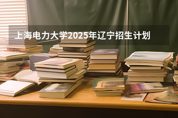 上海电力大学2025年辽宁招生计划总览（2026高考志愿参考）